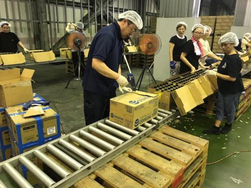 千葉T　ベルトコンベア